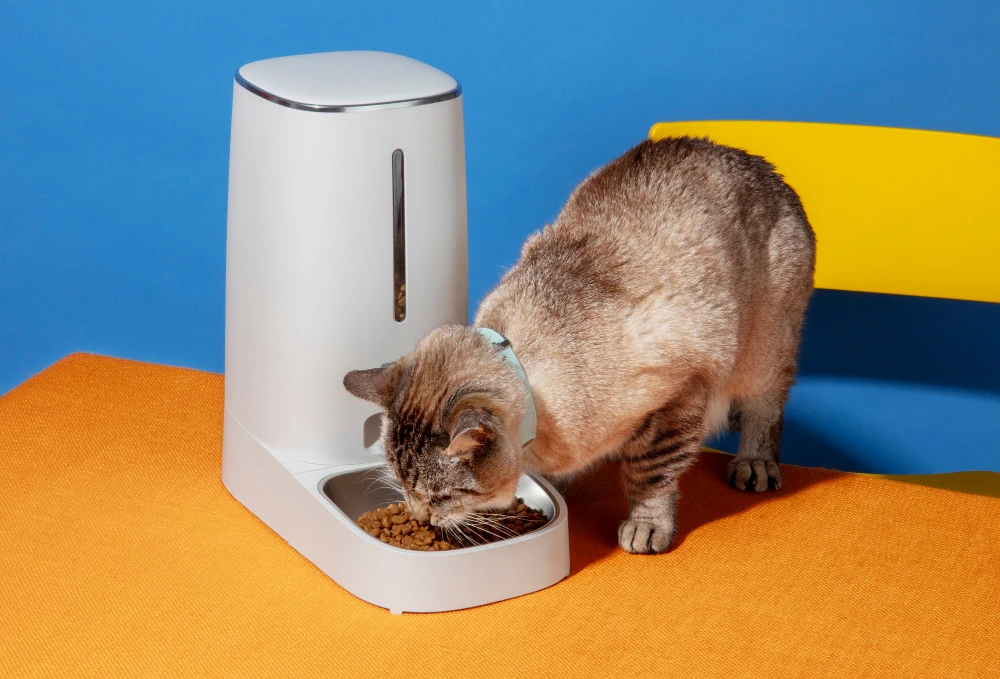 Gato comiendo de un dispensador automático de alimento para mascotas.